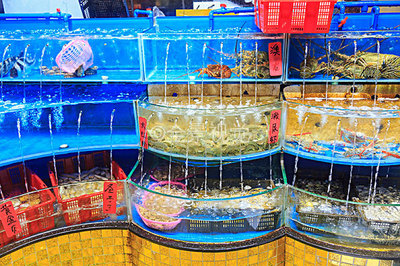 水產(chǎn)品 從高清視覺(jué)到全景生態(tài)的探索