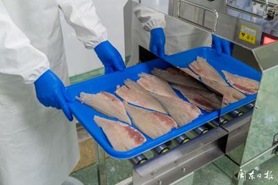 開(kāi)辟“預(yù)制菜”新賽道，大黃魚(yú)游向水產(chǎn)品市場(chǎng)藍(lán)海